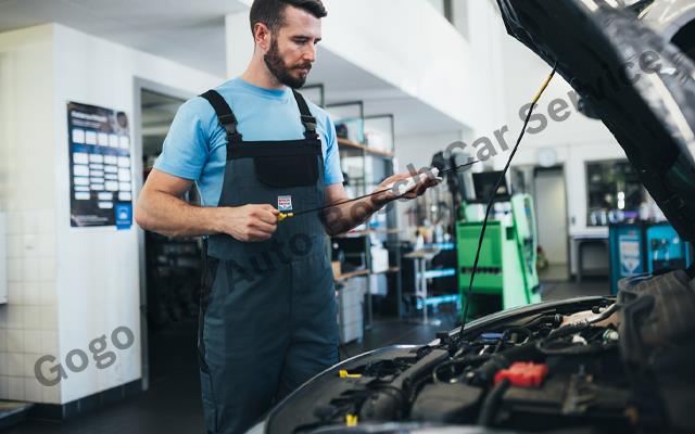 Gogo Life Auto Bosch Car Service Yanınızda